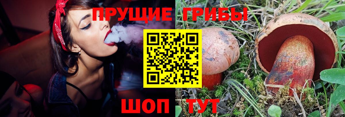 Псилоцибиновые грибы GOLDEN TEACHER Ирбит