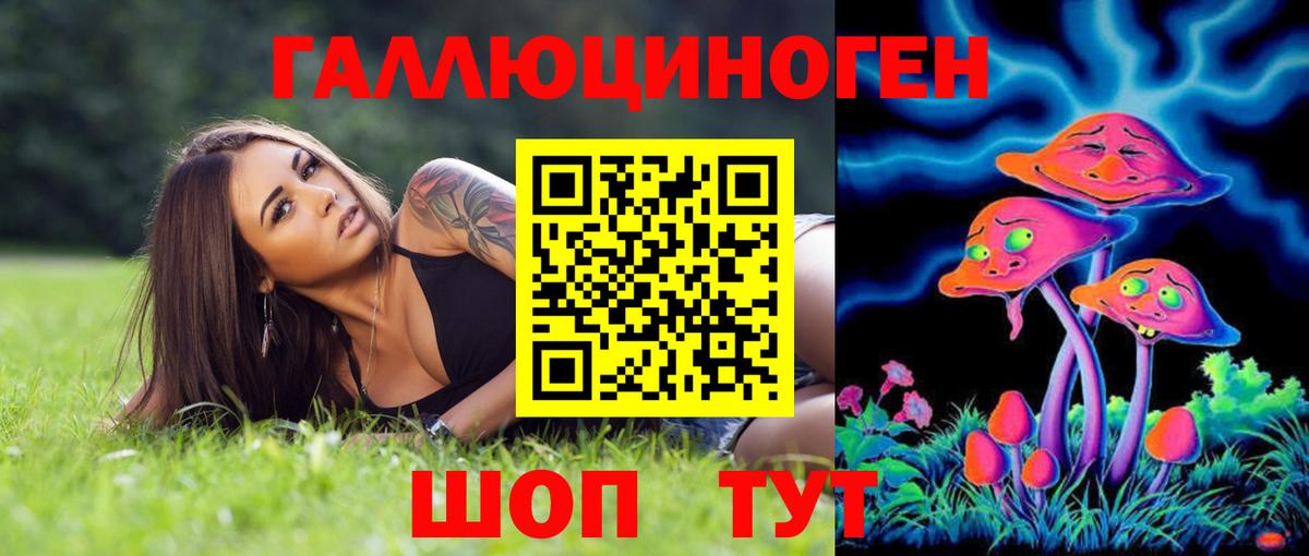 Ирбит  Псилоцибиновые грибы Cubensis  Вход с VPN 