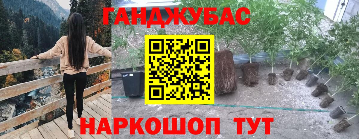Марихуана индика  Бошки Шишки OG Kush  Ирбит  Вход с VPN  Бошки Шишки OG Kush 